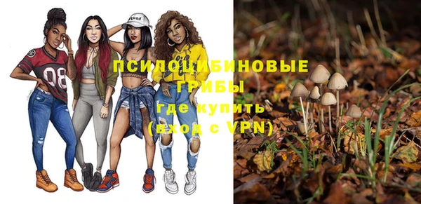 крисы Горнозаводск