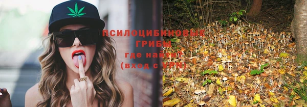 крисы Горнозаводск