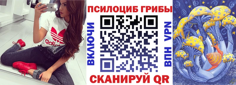 Псилоцибиновые грибы Psilocybine cubensis Лихославль
